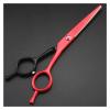 5.5-Inch Barber Scissors Set, Hair Cutting & Thinning Shears for Hairdressing, Stainless Steel, Ergonomic Design, Professional Kit view 2