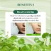 DR.PEPTI Centella Turnover Soft Peeling Gel - Korean Face Exfoliating Scrub with AHA BHA PHA LHA, 6 Peptides - Dead Skin Removal for Dull Rough Skin, 3.38 fl.oz. view 3