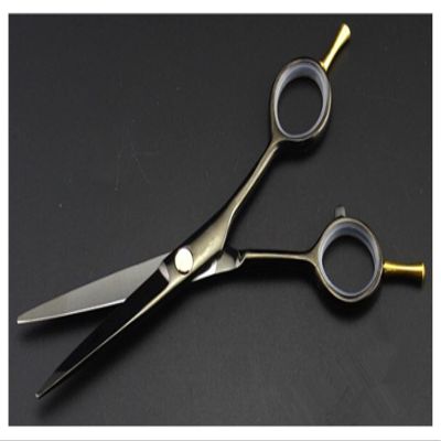 5.5-Inch Professional Hair Cutting Shears Set, Black Two-Tailed Hairdressing Scissors & Thinning for Barbers and Home Use