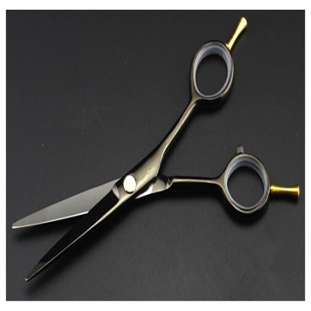 5.5-Inch Professional Hair Cutting Shears Set, Black Two-Tailed Hairdressing Scissors & Thinning for Barbers and Home Use