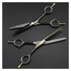 5.5-Inch Professional Hair Cutting Shears Set, Black Two-Tailed Hairdressing Scissors & Thinning for Barbers and Home Use view 3