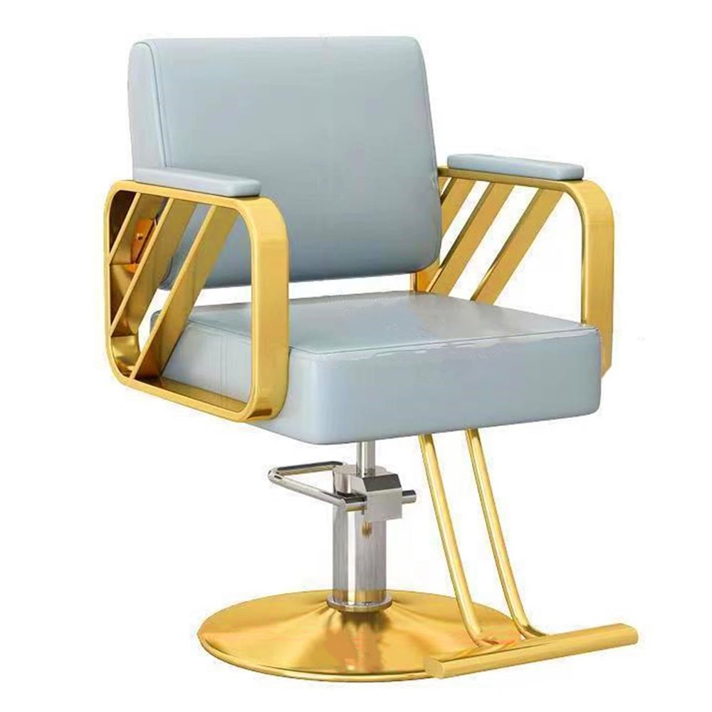 Asiwnshw Salon Barber Chair Heavy Duty Hydraulic Pump Hair Styling Beauty Shampoo Barbering Chair for Hair Stylist Women Man