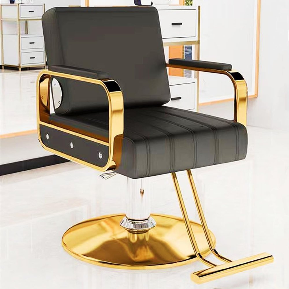 Asiwnshw Hydraulic Barber Salon Chair for Hair Stylist, Modern Tattoo Chair Shampoo Salon Equipment(D)