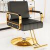 Asiwnshw Hydraulic Barber Salon Chair for Hair Stylist, Modern Tattoo Chair Shampoo Salon Equipment(D)