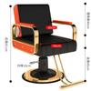 Asiwnshw Hydraulic Barber Salon Chair for Hair Stylist, Modern Tattoo Chair Shampoo Salon Equipment(D) view 2