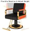 Asiwnshw Hydraulic Barber Salon Chair for Hair Stylist, Modern Tattoo Chair Shampoo Salon Equipment(D) view 3