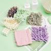 2 in 1 Loofah - Loofah Washcloth for Bar Soap, Exfoliation Soap Bar Loofahs for Body Wash & Smooth Skin (White+Khaki+Coffee) view 4