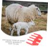 CIYODO Detachable Trimmer Guide for Sheep Clipper Multi Functional Grooming Tool for Professional Shearing Easy to Clean Maintain Enhances Animal Appearance for Farm Use view 4