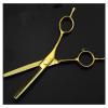 5.5 Inch Golden Double Tail Hair Cutting Scissors, Professional Barber & Hairdressing Scissors Set for Precision Cutting, Ergonomic Design view 1