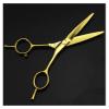 5.5 Inch Golden Double Tail Hair Cutting Scissors, Professional Barber & Hairdressing Scissors Set for Precision Cutting, Ergonomic Design view 2