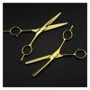 5.5 Inch Golden Double Tail Hair Cutting Scissors, Professional Barber & Hairdressing Scissors Set for Precision Cutting, Ergonomic Design view 3