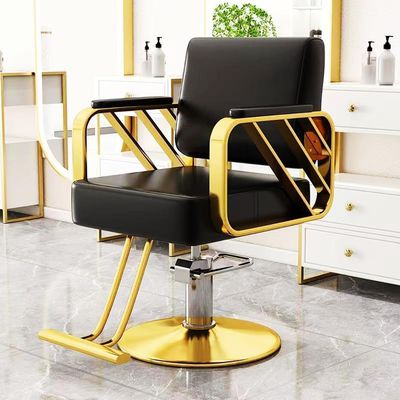 Asiwnshw High-end Salon Styling Chair for Hair Stylist, Hydraulic Barber Chair Beauty Spa Equipment(Black)