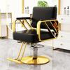 Asiwnshw High-end Salon Styling Chair for Hair Stylist, Hydraulic Barber Chair Beauty Spa Equipment(Black) view 1