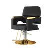 Asiwnshw Barber Salon Chair for Hair Stylist with Hydraulic Pump & Footrest, Adjustable Height 360 Degrees Swivel Styling Chair for Salon Equipment