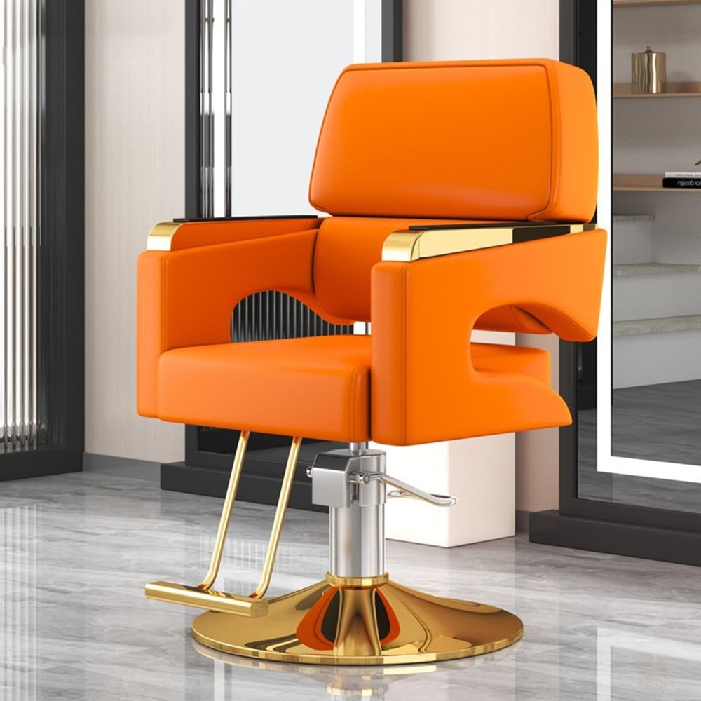 Asiwnshw Salon Chair for Hair Stylist Barber Chair w/Wide Seat & Footrest, Hydraulic Heavy Duty Beauty Spa Cosmetology Shampoo Hairdressing Equipment(D)