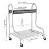 2 Layer Silver Beauty Salon Nail Or Foot Bath Spa Portable 4 Wheeled Trolleys! view 3