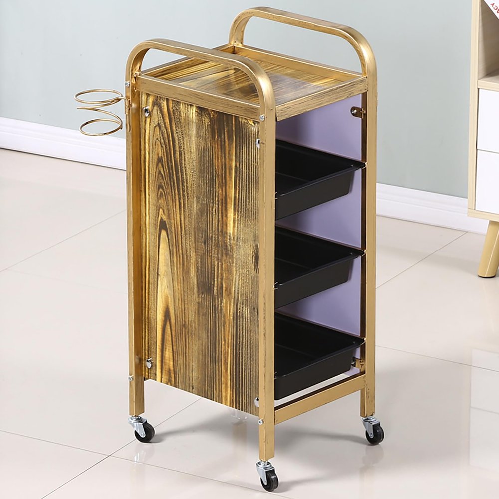 Hair Tray for Hair Stylist Salon Table Trolley with Wheels Rolling Hair Styling Station Mobile Beauty Storage for Barbershop Spa Tattoo 35X32X85cm (4 Tier)