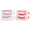 2 Set Silicone Eyelash Extension Separator Tool, Washable and Reusable, Precise Lash Grafting for Dense, Looking Results, Skin Friendly Comfort, Improves Workflow view 4