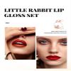 5 Color Matte Lip gloss Sets Lip Glaze Moisturizing Waterproof Nude Lipgloss Tint Long Lasting Lipgloss Liquid Lipstick Kit Lipgloss Gift Set Non-sticky view 3