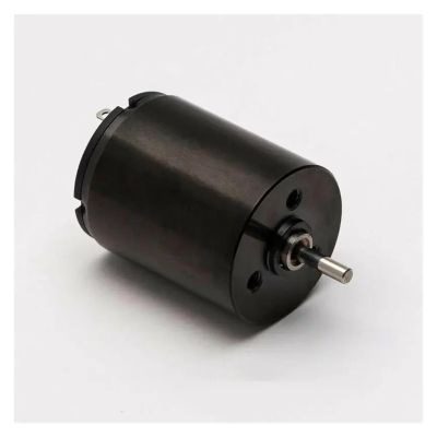 20mm*25mm 2025 Coreless Electronic Starter DC 12V 10500RPM High Speed 2mm Shaft Diameter Tattoo Machine Electronic Starter Replace Electronic Starter