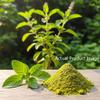 Accessorize Kingdom Tulsi Herbal Powder for External Use  For DIY Face & Hair Packs | 3.5 oz (100g) view 3