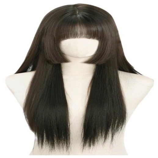 VVRPWASSLY Japanese Princess Cut Wig Women's Long Straight Hairpiece Heat Resistant Synthetic Wig for Daily Party (Brown)