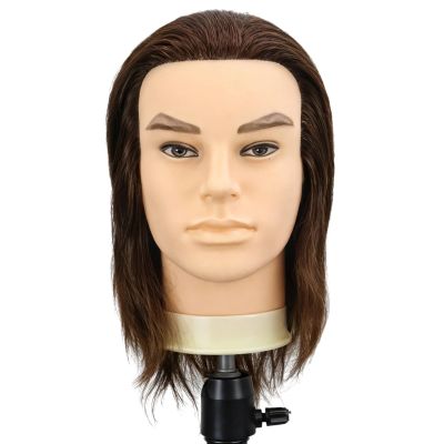 10 In Male Mannequin Head With Brown Hair, Realistic Design For Salon Styling, Includes Stand, Perfect For Beauty Students And Professionals