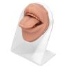 3D Realistic Silicone Tongue and Mouth Model with Acrylic Stand for Lip and Tongue Piercing Practice, Medical Tongue Display Research Tool, Skin Tone (Flesh Blond) view 1