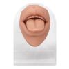 3D Realistic Silicone Tongue and Mouth Model with Acrylic Stand for Lip and Tongue Piercing Practice, Medical Tongue Display Research Tool, Skin Tone (Flesh Blond) view 2