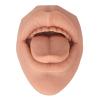3D Realistic Silicone Tongue and Mouth Model with Acrylic Stand for Lip and Tongue Piercing Practice, Medical Tongue Display Research Tool, Skin Tone (Flesh Blond) view 4