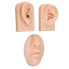 3D Silicone Nose and Mouth Model Set with Ear for Piercing Practice and Display - Realistic Skin Tone (Medium Skin Color) view 1