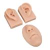 3D Silicone Nose and Mouth Model Set with Ear for Piercing Practice and Display - Realistic Skin Tone (Medium Skin Color) view 4