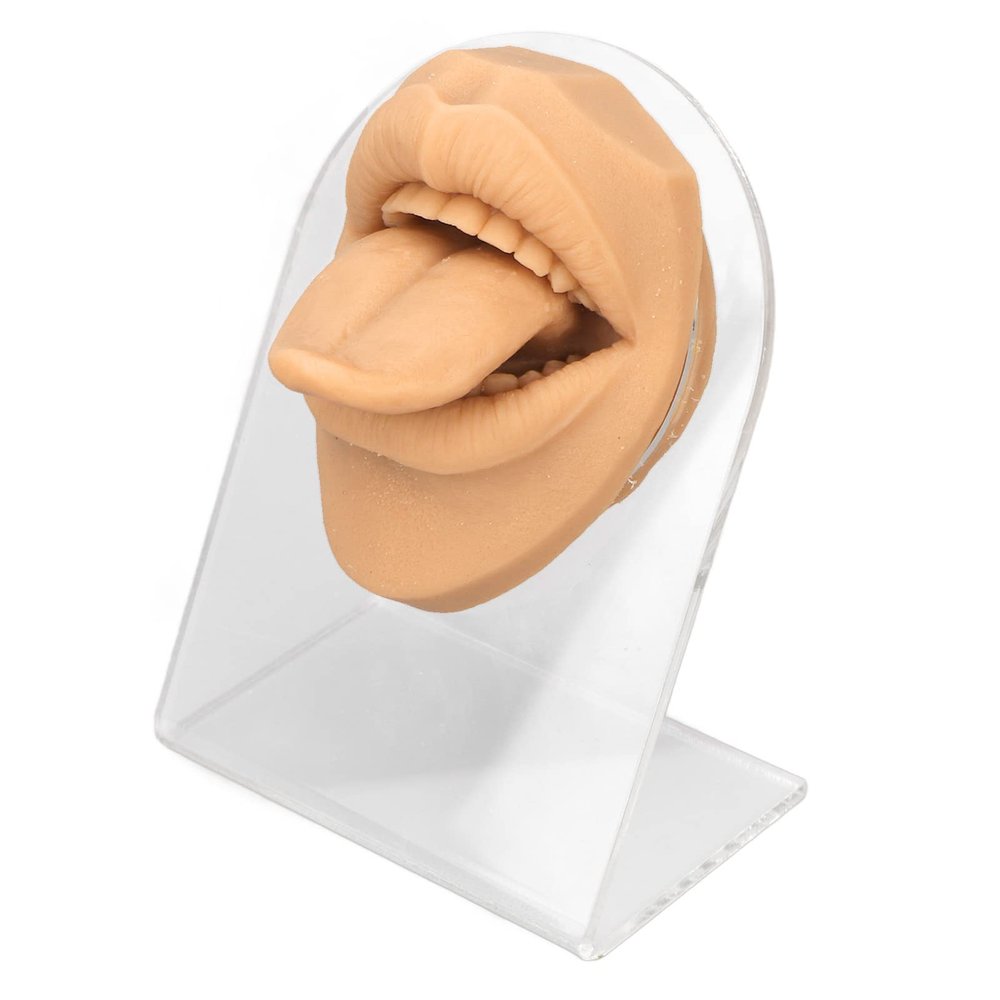 3D Realistic Silicone Tongue and Mouth Model with Acrylic Stand for Lip and Tongue Piercing Practice, Medical Tongue Display Research Tool, Skin Tone (Skin Color)