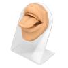 3D Realistic Silicone Tongue and Mouth Model with Acrylic Stand for Lip and Tongue Piercing Practice, Medical Tongue Display Research Tool, Skin Tone (Skin Color) view 1