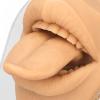 3D Realistic Silicone Tongue and Mouth Model with Acrylic Stand for Lip and Tongue Piercing Practice, Medical Tongue Display Research Tool, Skin Tone (Skin Color) view 3