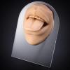 3D Realistic Silicone Tongue and Mouth Model with Acrylic Stand for Lip and Tongue Piercing Practice, Medical Tongue Display Research Tool, Skin Tone (Skin Color) view 4
