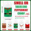 50 Pcs Christmas Lip Balm Bulk Mini Candy Cane Peppermint Flavor Lip Balms Bulk Christmas Stocking Stuffers Xmas Party Gifts Small Thank You Employee Appreciation Gifts for Women Men (Xmas Character) view 2