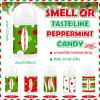 50 Pcs Christmas Lip Balm Bulk Mini Candy Cane Peppermint Flavor Lip Balms Bulk Christmas Stocking Stuffers Xmas Party Gifts Small Thank You Employee Appreciation Gifts for Women Men (Green Red) view 2