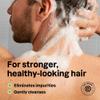 ATTITUDE Body Care Bundle for Men, Shampoo & Conditioner, Shower Gel, Aluminum Free Deodorant, EWG Verified Personal Care, Natural Origin Ingredients, Matcha & Bergamot Scent view 2