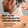 ATTITUDE Body Care Bundle for Men, Shampoo & Conditioner, Shower Gel, Aluminum Free Deodorant, EWG Verified Personal Care, Natural Origin Ingredients, Patchouli & Bourbon view 2