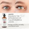 PURA D'OR 16.9 oz Organic Castor Oil (GLASS BOTTLE) Pure Cold-Pressed Hexane-Free USDA Certified  Lashes Brows Hair Scalp Skin  Botanical Moisturizer for Softness Strength Hydration Shine Radiance view 3