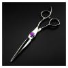 6 Inch Hairdressing, Hairdressing, Thinning Hairdressing, Tooth, Hairdressing Hair Cutting Shears view 1