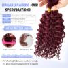 Human Braiding Hair for Boho Braids 99j Curly Boho Human Hair for Braiding 100G/Pack No Weft Burgundy Water Wave Human Hair Bundles Soft Bouncy Short Wet and Wavy Burgundy Braiding Hair 12 Inch view 4
