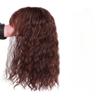 Yanamy Invisible Curly Topper with Bangs Clip in Hairpiece Synthetic Hair Wiglet for Women Thin Hair (Dark brown,25cm) view 1