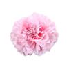 6 Pcs Peony Flower Hair Clips, 4.3 Inch Large Bohemia Peony Flowers Hairpin, Blue Peonies Floral Hair Pins Flower Brooch Hair Accessories for Women(Pink) view 1