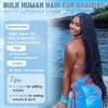 Human Braiding Hair for Boho Braids 14 Inch 150g 6 Bundles/Pack Deep Wave Bundles Boho Hair for Braiding Virgin Human Hair Braiding Hair Curly Bulk Human Hair for Braiding Wet and Wavy Natural Color view 2