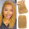 Afro Kinkys Bulk Human Hair 50g/Pack for Mini Twist, Braiding Hair for Dreadlocks, Loc Repair, Twists, Dreadlock Extensions No Short Hair Honey Blonde 20 Inch 27# view 1