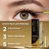 Eyelash & Eyebrow Growth Serum  15 Plant Extracts for Longer, Denser & Fuller Lashes & Brows, Boosts Natural Hair Development,eyelash serum,Hypoallergenic Oil-Free,lash growth serum (PURE GOLD) view 2