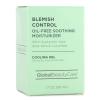 Global Beauty Care Blemish Control Skincare Kit - Clarifying Facial Cleanser, Exfoliating Scrub, Dark Spot Treatment & Soothing Moisturizer to Help Clean Pores, Tone & Hydrate Skin Skin, 4-Piece Set view 4
