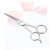 Stainless Steel Beard Scissors and Hairdressing Scissors Practical Accessory for Beard Care and Eyebrow Grooming for Daily Use Silver view 3